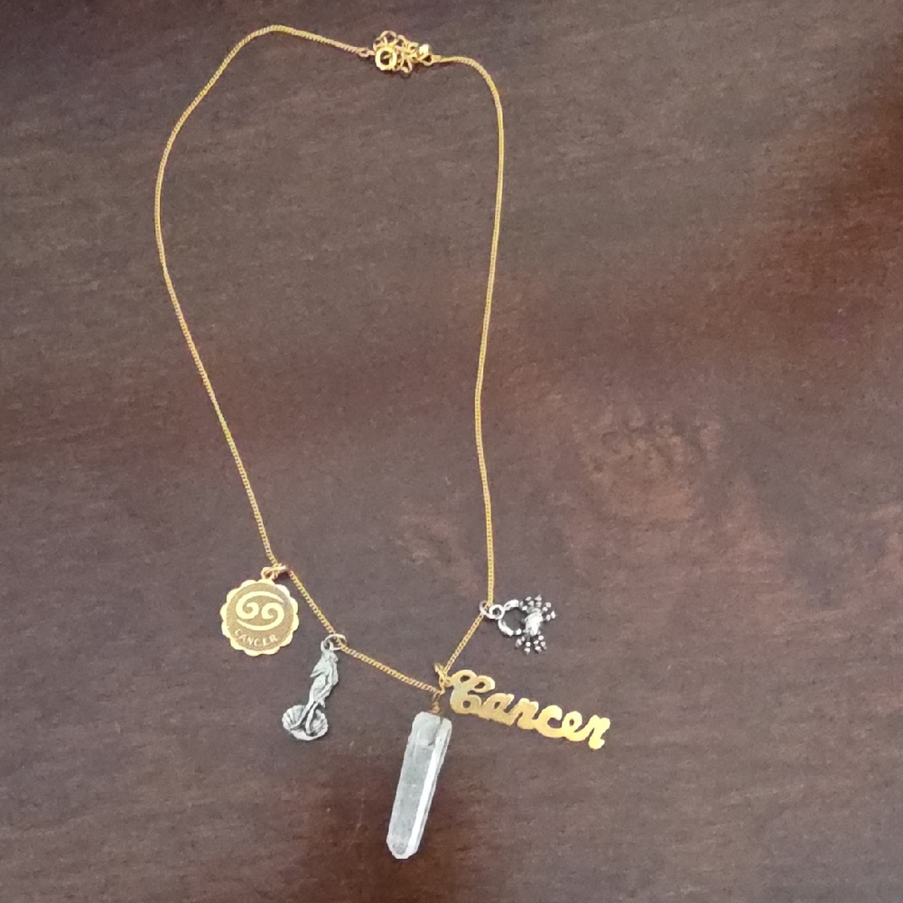 Cancer Zodiac Charm Necklace in Gold and Silver